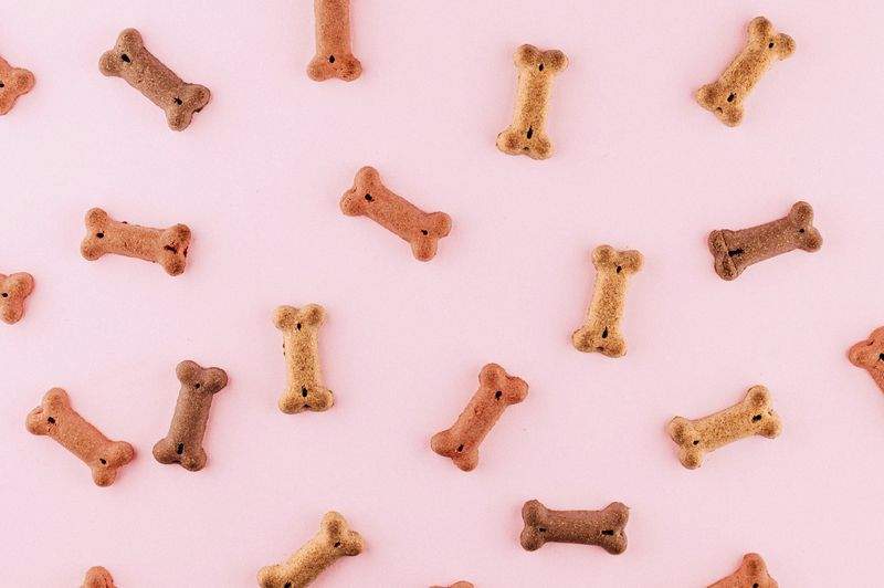 NordPaws Pet Care