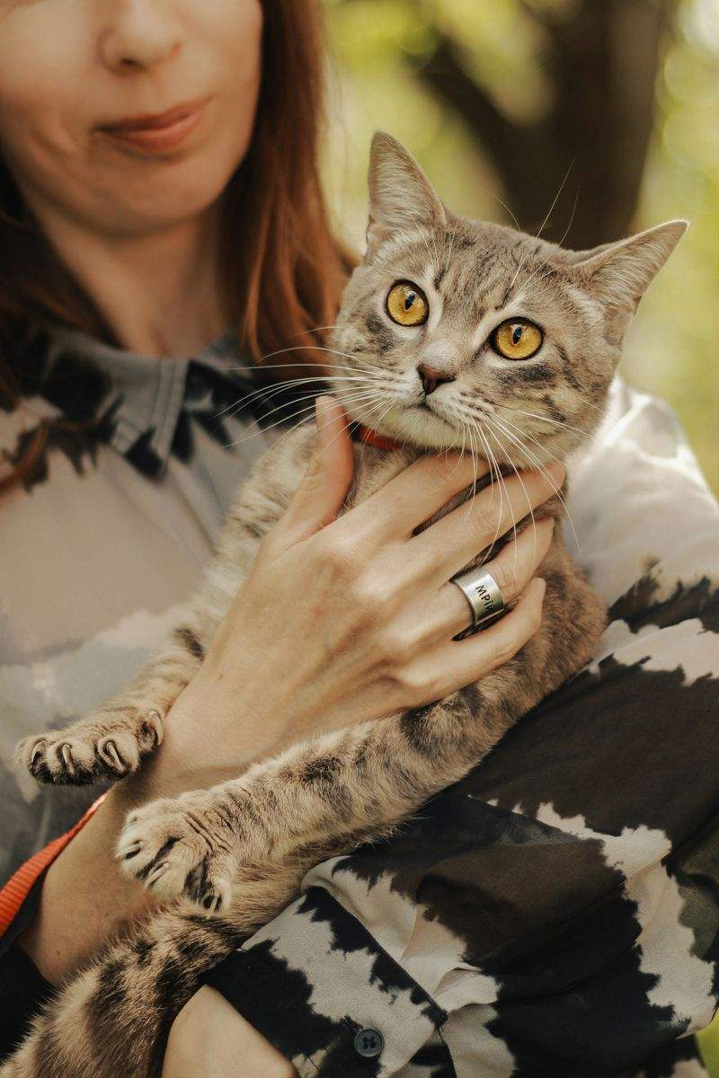 Home pet sitting visits